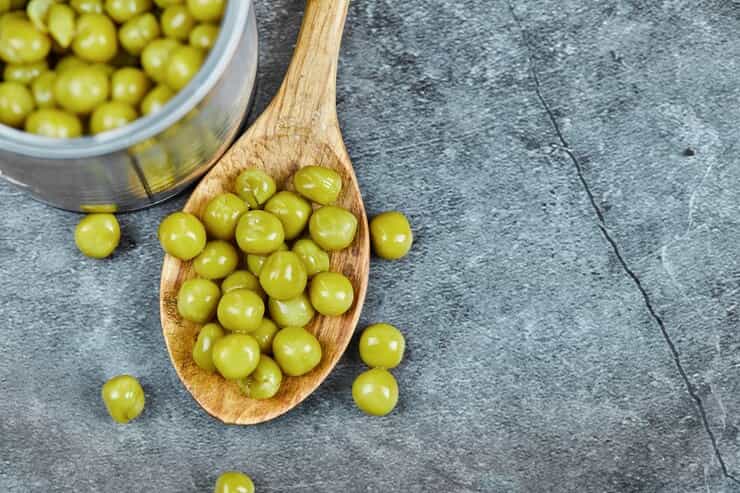 تصویر 4 از فروش زیتون جنگلی و قیمت خرید به صرفه